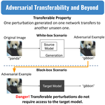 Adversarial Transferability and Beyond